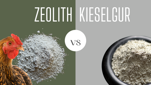 Zeolith statt Kieselgur: Warum milbfix® die bessere Wahl gegen Milben ist.