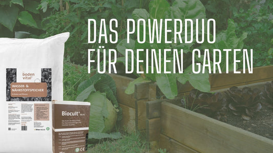 Zeolith im Garten? Wer’s nicht nutzt, gießt doppelt.