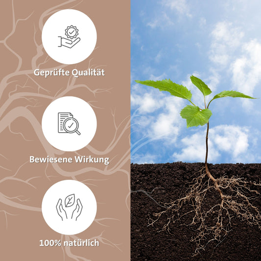 lithos bodenvital®